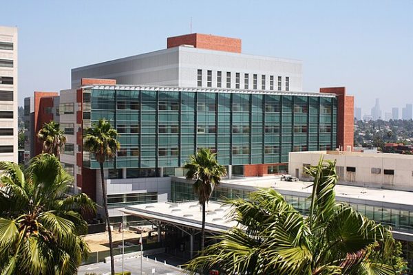 Los Angeles Children’s Hospital To Sack More Than 250 Workers
