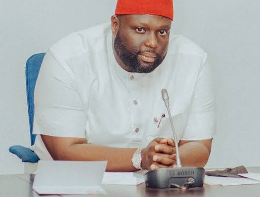 Senator Calls For Urgent Measures Against Spate Of Suicides In Nigeria