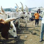 Kara Markets Controversy: LG Chairmen, Traditional Rulers Agree To Truce 51cbc9b1-e3db-4753-a919-6dd29efe3465