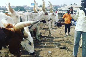 Kara Markets Controversy: LG Chairmen, Traditional Rulers Agree To Truce