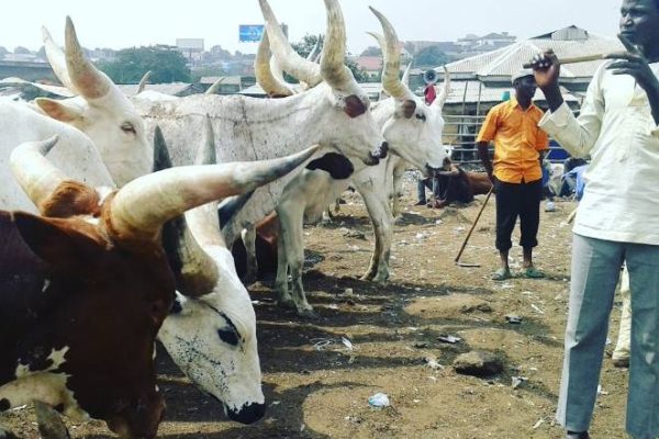 Kara Markets Controversy: LG Chairmen, Traditional Rulers Agree To Truce
