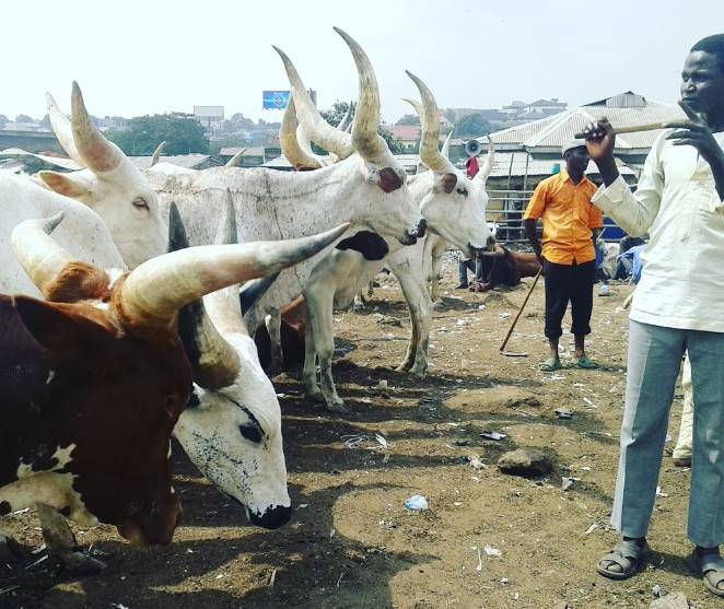 Kara Markets Controversy: LG Chairmen, Traditional Rulers Agree To Truce